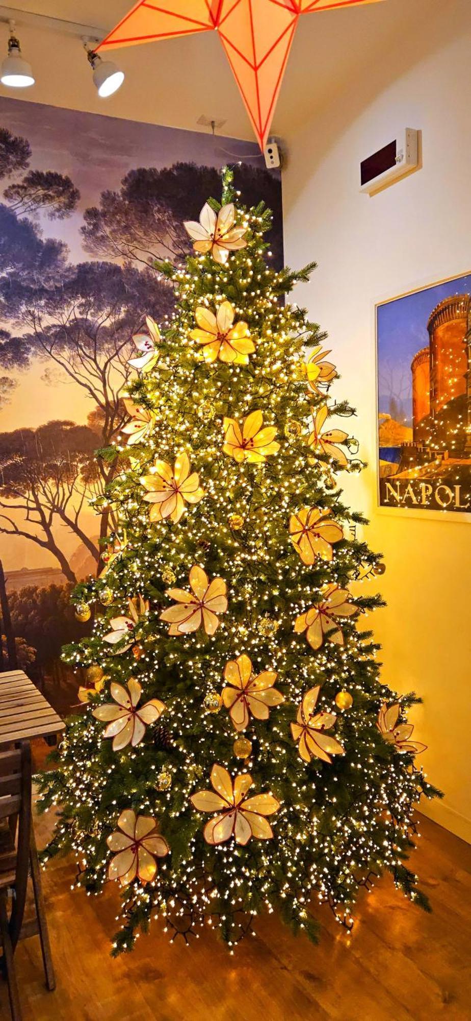 Napoli Tree - Lungomare Hotel Exterior photo